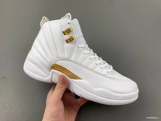 Kick Theory Air WMNS FD9101-007 Phantom Jordan 12 0814